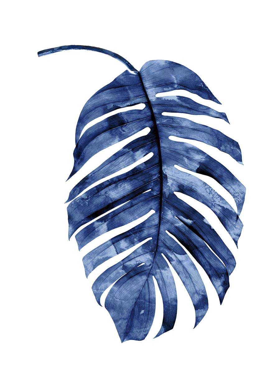 Indigo Palm II Wall Art Print