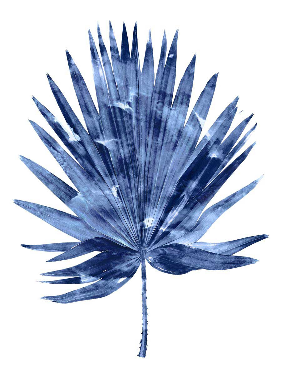 Indigo Palm I Wall Art Print