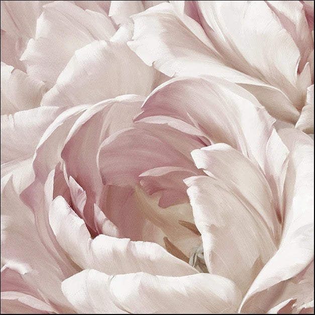 Intimate Blush II Wall Art Print