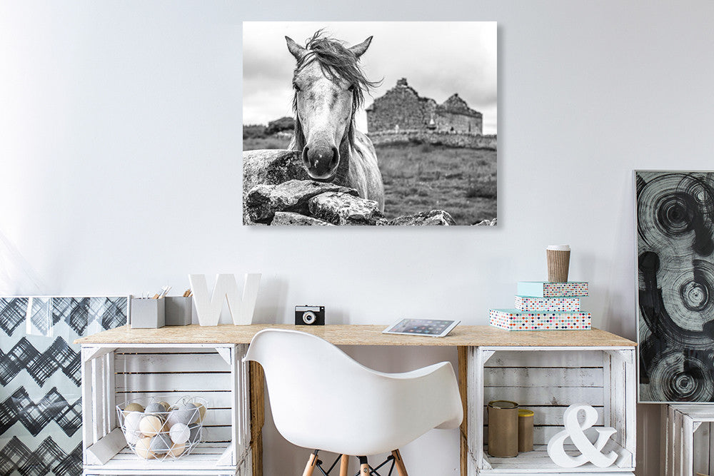 Ireland Horse Wall Art Print on the wall