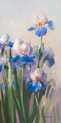Iris French Cancan Wall Art Print
