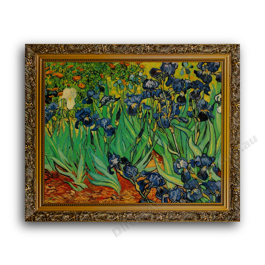 Gold Ornate Outer Frame