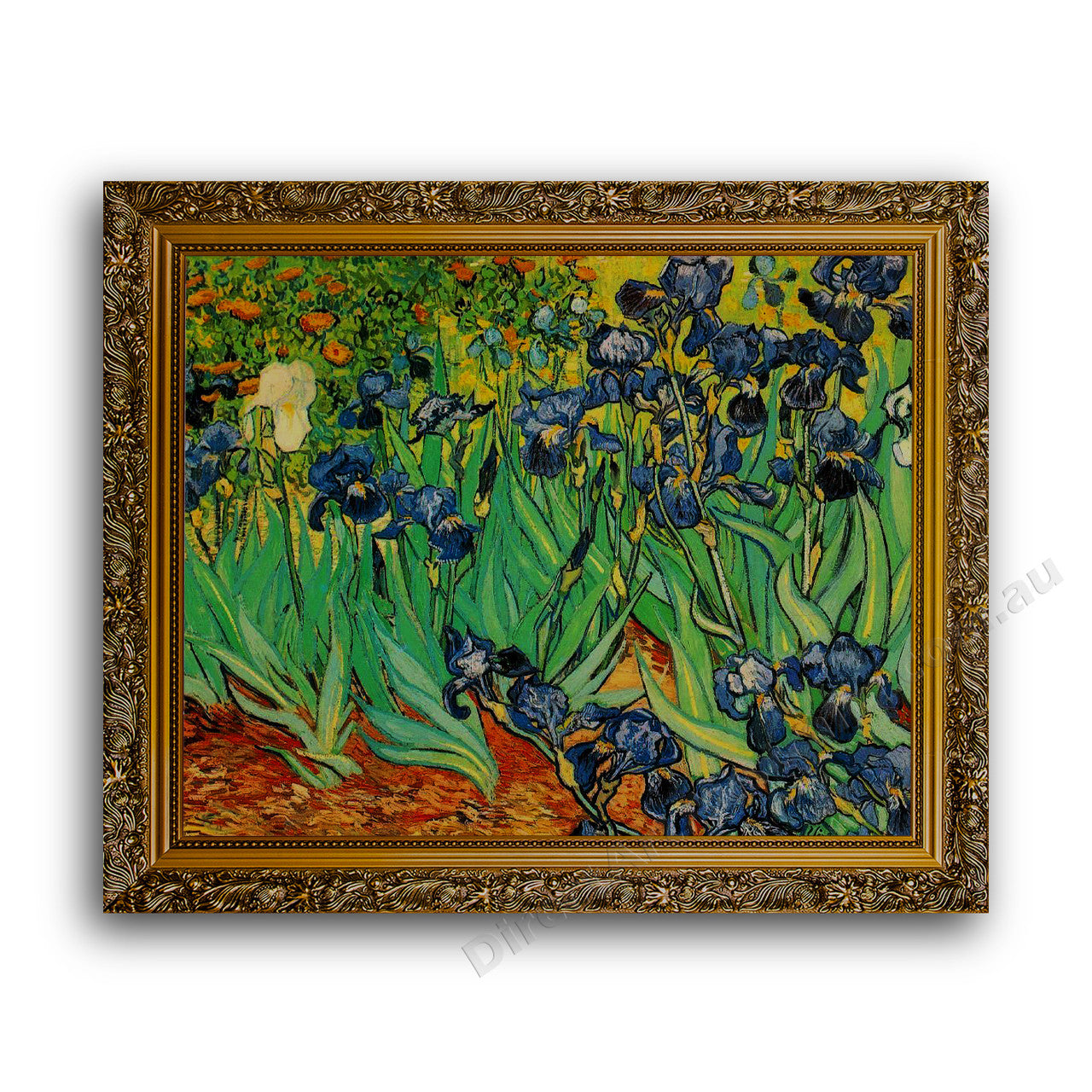Gold Ornate Outer Frame