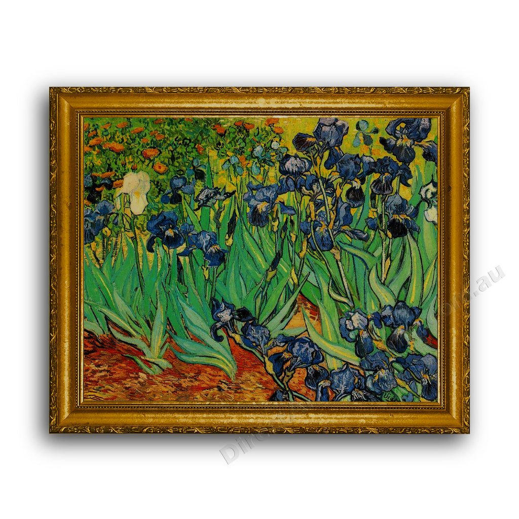 Gold Classic Frame