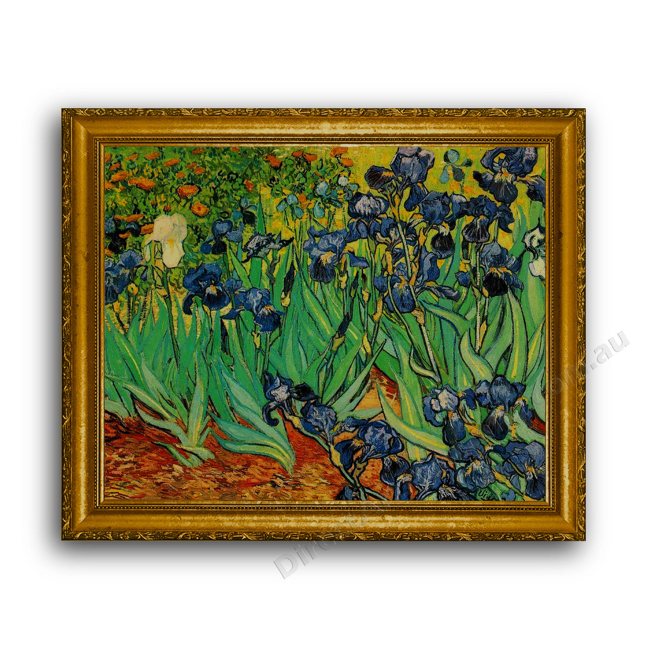 Gold Classic Frame