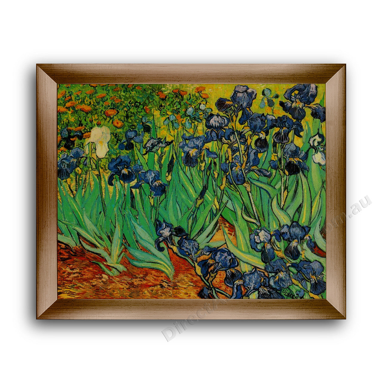 Modern Flat Gold Frame