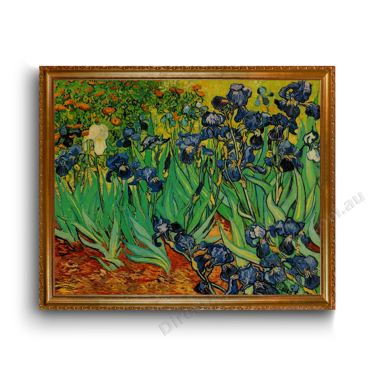 Gold A1 Frame