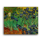 Vincent Van Gogh | Irises