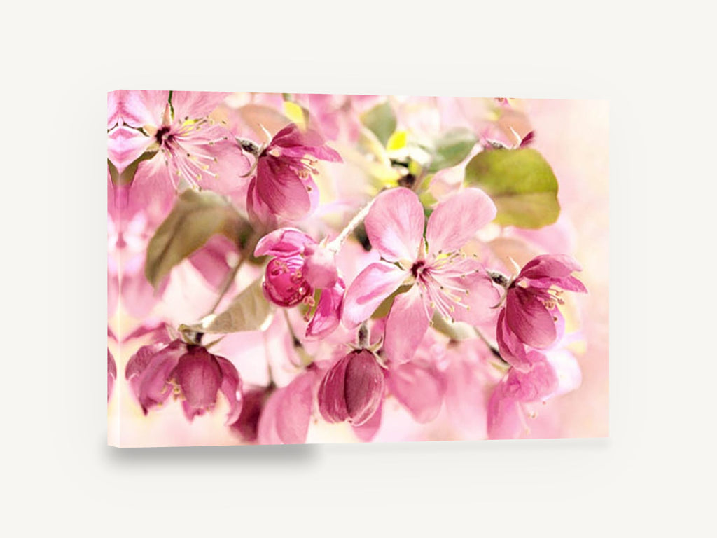 Pink Crabapple Bloom, pink crabapple blossom floral photograph, floral canvas wall art print ready to hang