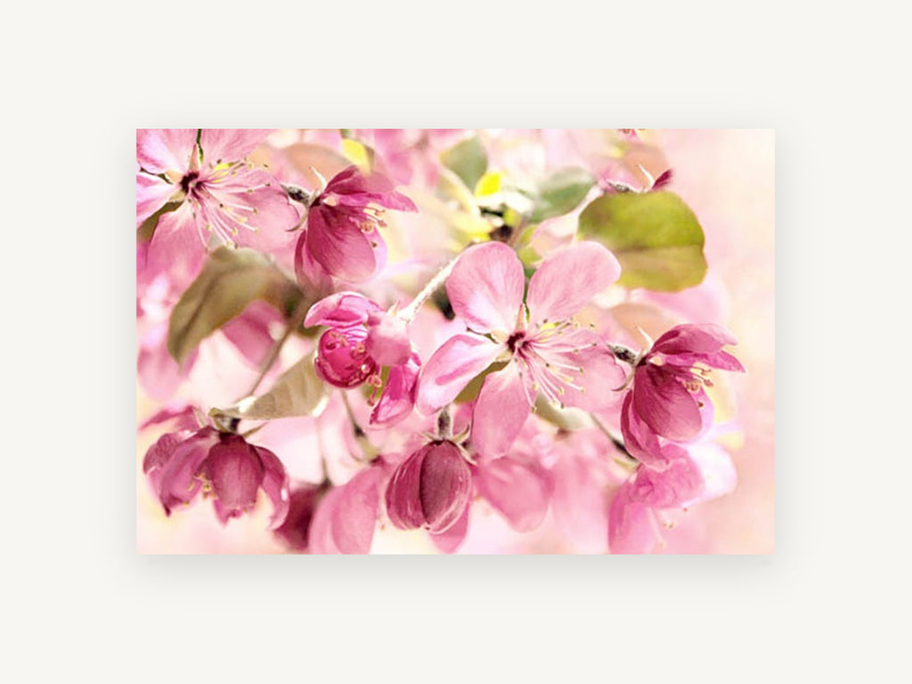 Pink Crabapple Bloom, floral canvas wall art print, front view