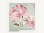 Blush Peony Script, vintage pink peony script floral, stretched canvas wall art print ready to hang