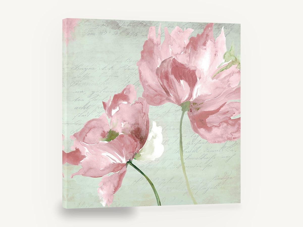Blush Peonies on Script, vintage pink peony script, stretched canvas wall art print ready to hang