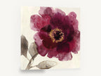 Burgundy Bloom Study, burgundy peony watercolour floral, floral canvas wall art print ready to hang