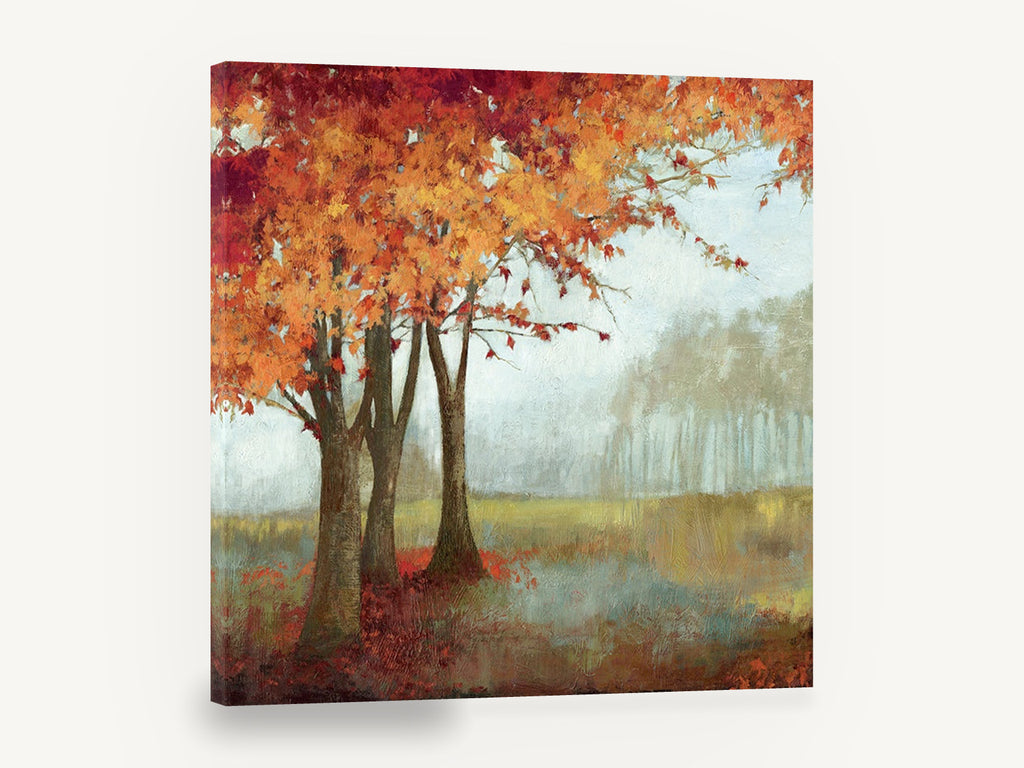 Autumn Maples in Mist, autumn maple trees misty landscape, floral canvas wall art print ready to hang