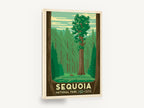 General Sherman Forest, retro sequoia national park travel poster, stretched canvas wall art print ready to hang