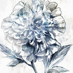 Japanese Peony II Wall Art Print