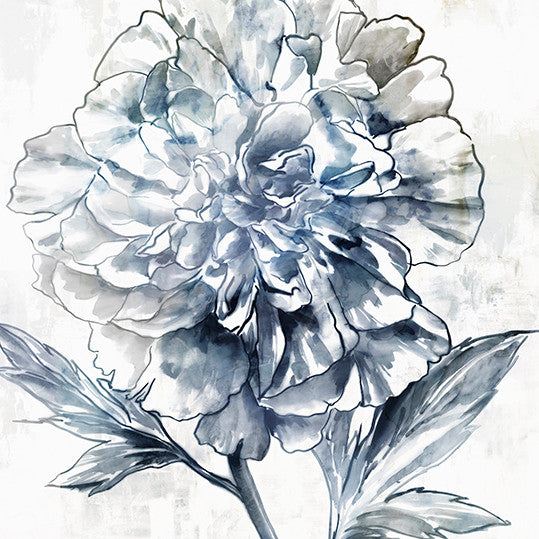 Japanese Peony II Wall Art Print