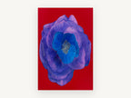 Violet Bloom on Red, floral canvas wall art print, front view