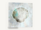 Pale Scallop Shell, soft scallop shell abstract, coastal canvas wall art print ready to hang