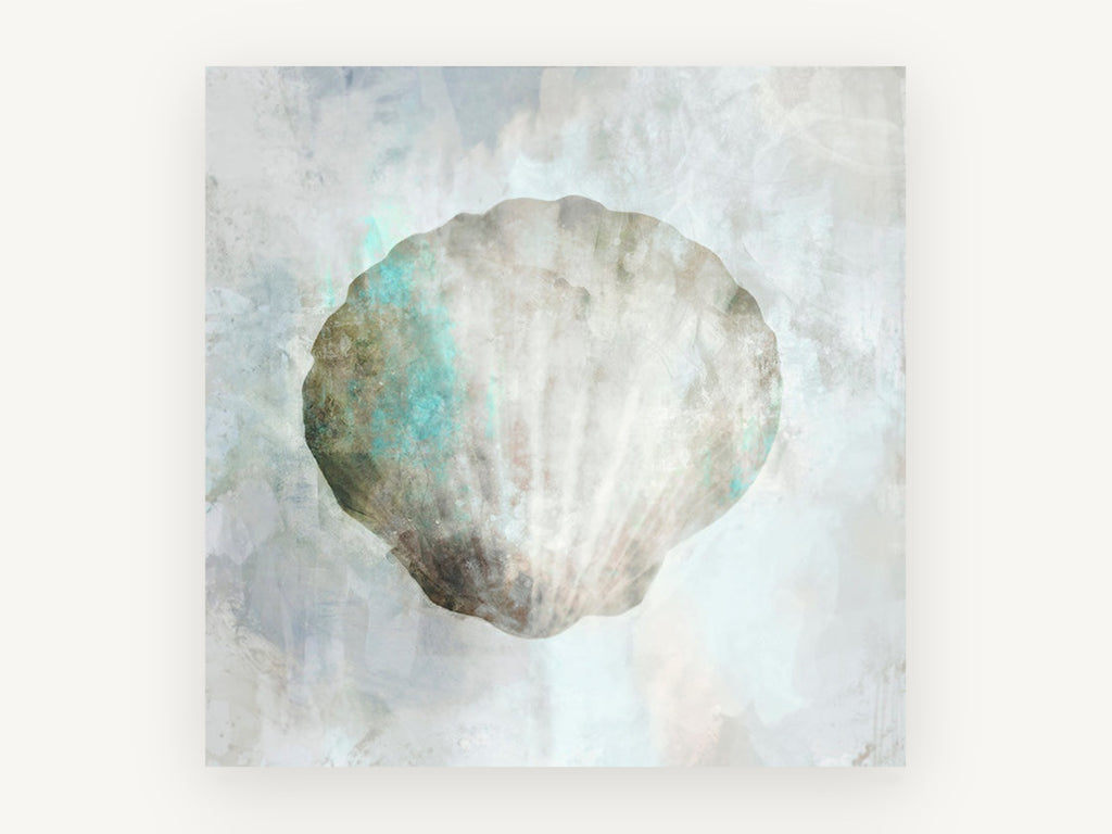 Pale Scallop Shell, coastal canvas wall art print, front view