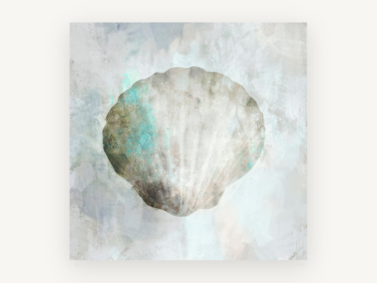 Pale Scallop Shell, coastal canvas wall art print, front view
