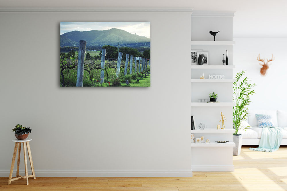 Kooroomba Queensland Vineyard Wall Print on the wall