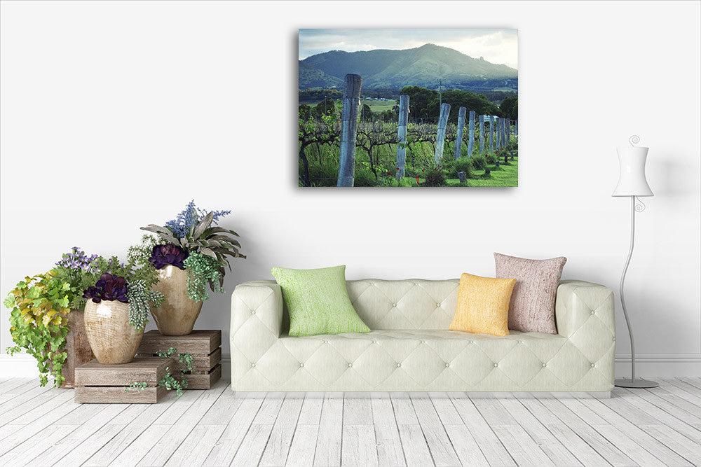 Kooroomba Queensland Vineyard Wall Print on the wall