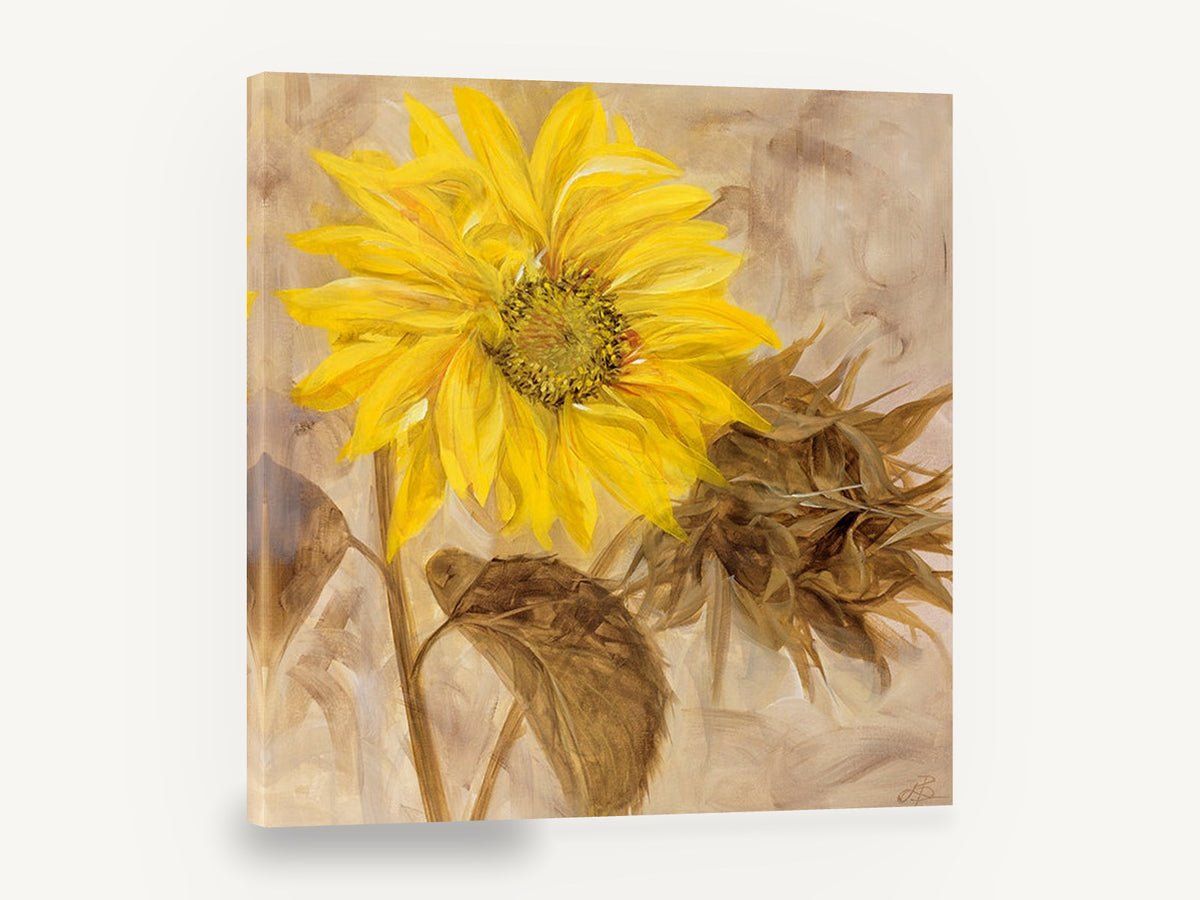 Golden Sunflower Study, yellow sunflower painting neutral background, floral canvas wall art print ready to hang