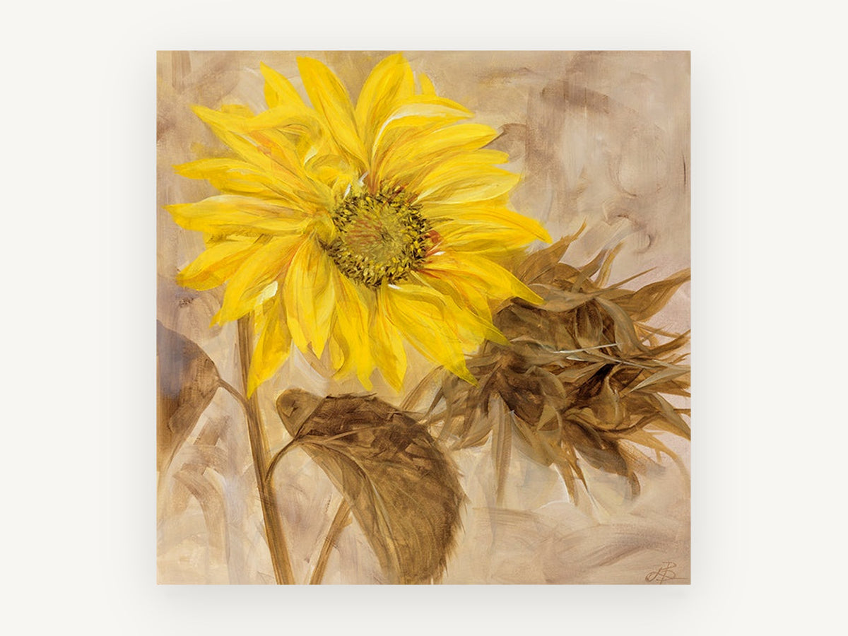 Golden Sunflower Study, floral canvas wall art print, front view