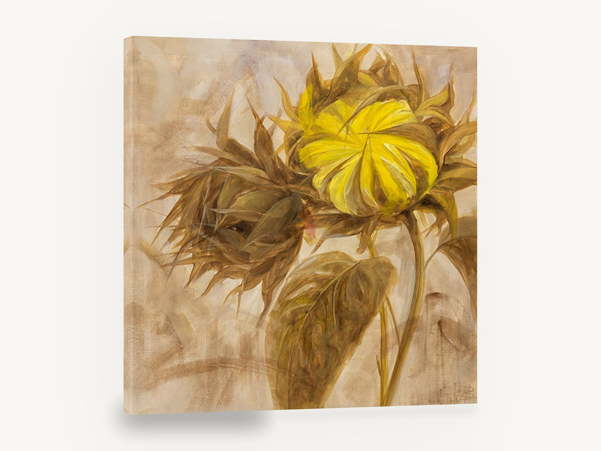 Turned Sunflower Bud, yellow sunflower bud painting botanical, floral canvas wall art print ready to hang