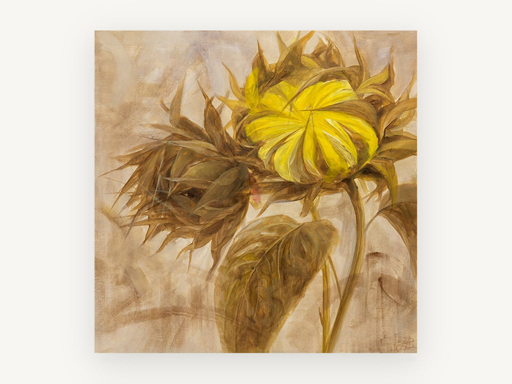 Turned Sunflower Bud, floral canvas wall art print, front view
