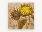 Turned Sunflower Bud, floral canvas wall art print, front view