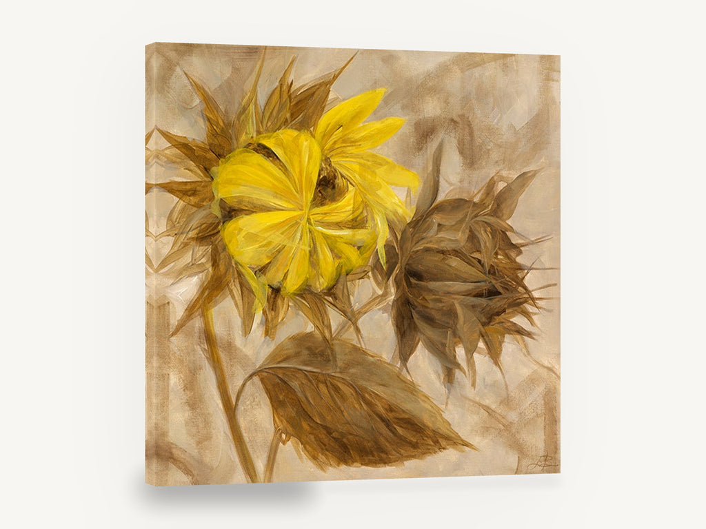 Turning Sunflower Pair, yellow sunflower brown botanical painting, floral canvas wall art print ready to hang