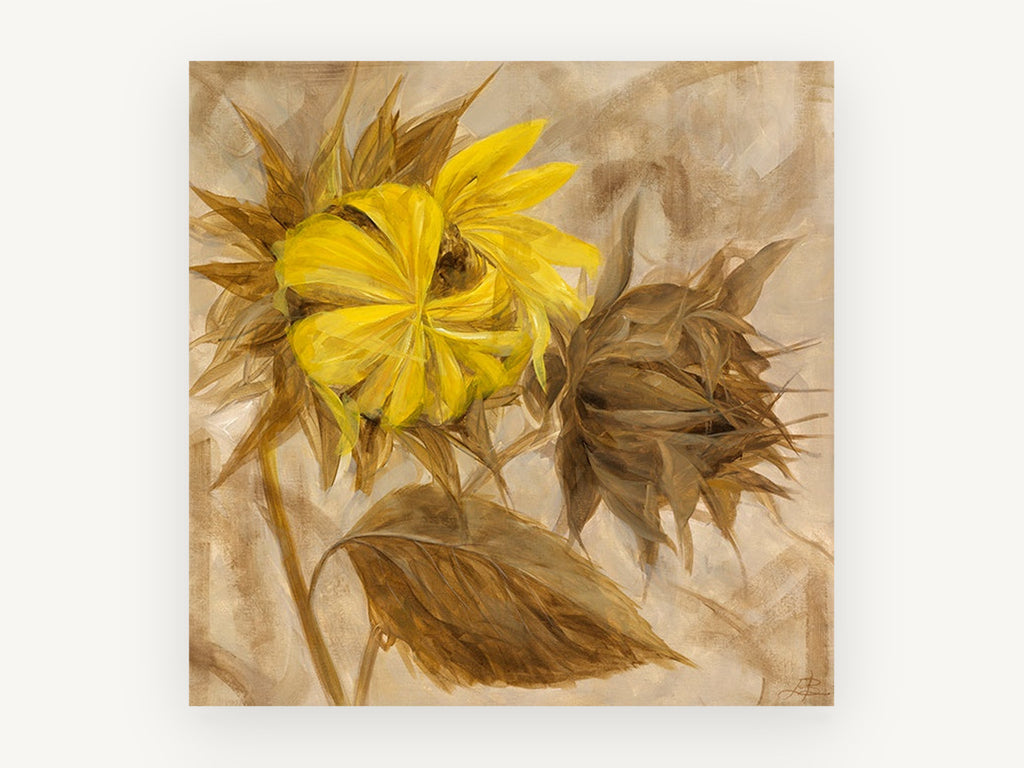 Turning Sunflower Pair, floral canvas wall art print, front view