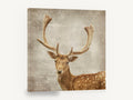Fallow Buck Portrait, fallow deer textured portrait, animal canvas wall art print ready to hang