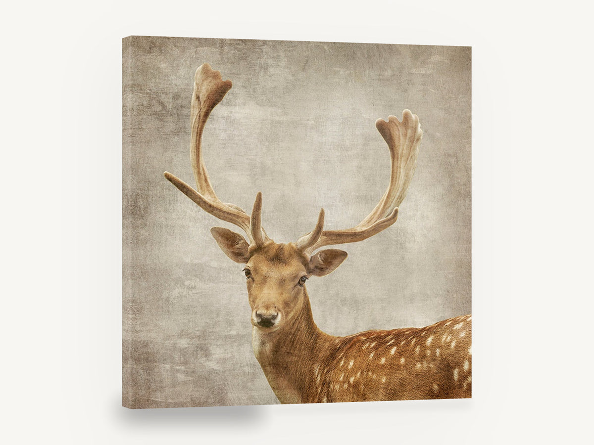 Fallow Buck Portrait, fallow deer textured portrait, animal canvas wall art print ready to hang