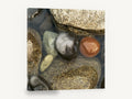 Wet Pebble Pool, wet river pebbles close-up photograph, coastal canvas wall art print ready to hang