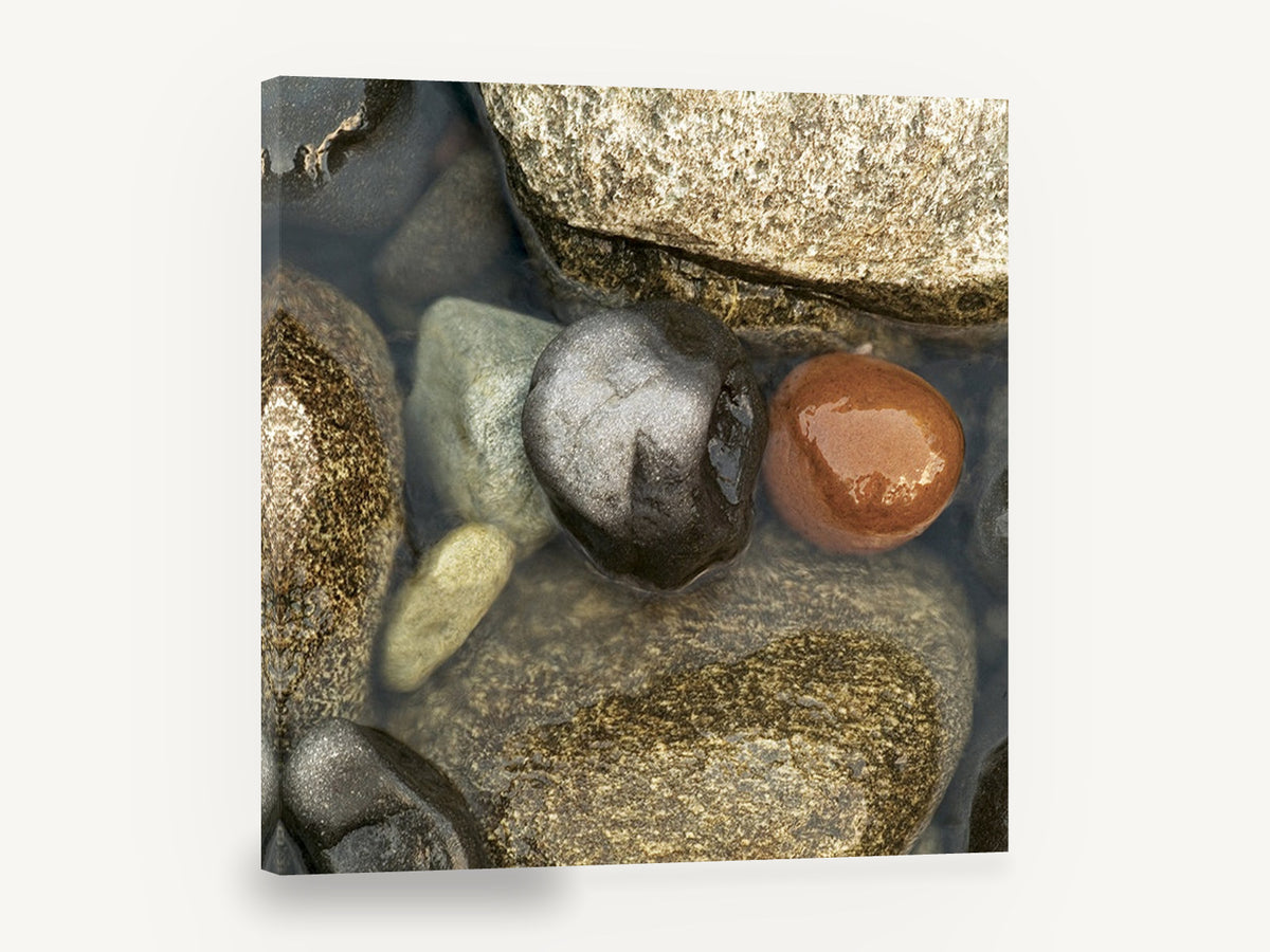 Wet Pebble Pool, wet river pebbles close-up photograph, coastal canvas wall art print ready to hang