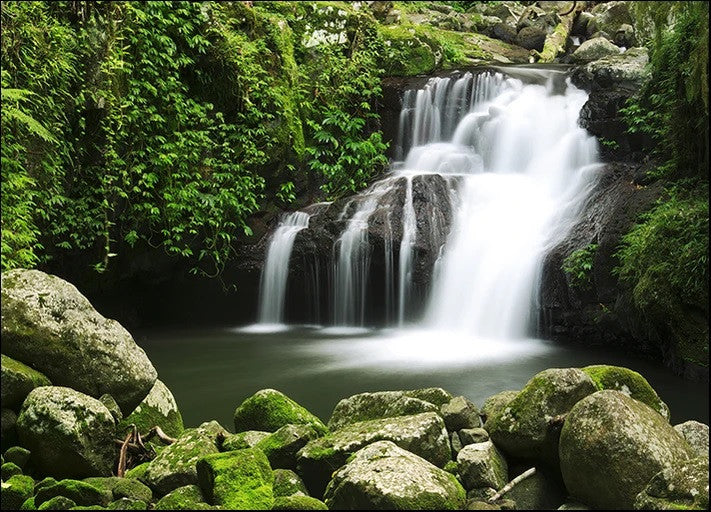 Lamington National Park Australia Wall Print