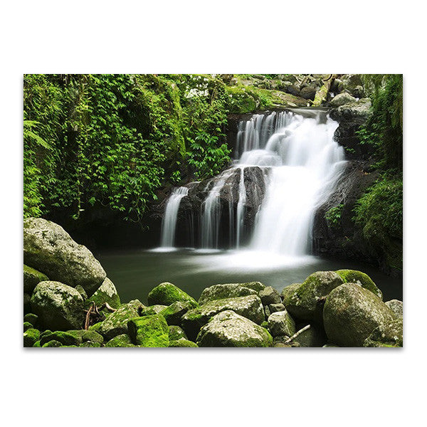 Lamington National Park Australia Wall Print