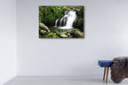 Lamington National Park Australia Wall Print on the wall