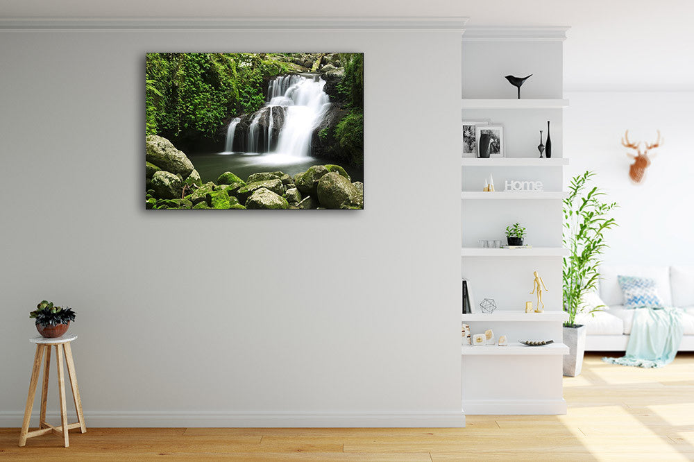 Lamington National Park Australia Wall Print on the wall
