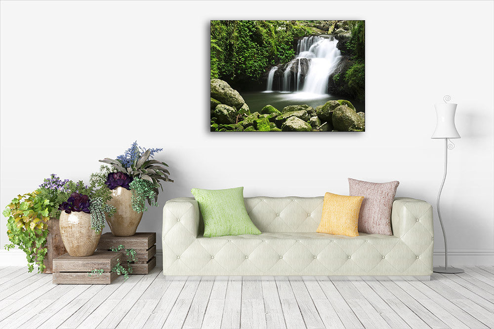 Lamington National Park Australia Wall Print on the wall