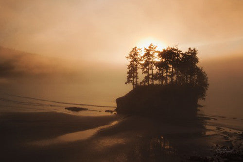 Last Light Wall Art Print