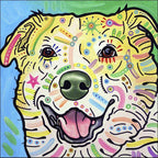 Laughing Labrador Wall Art Print