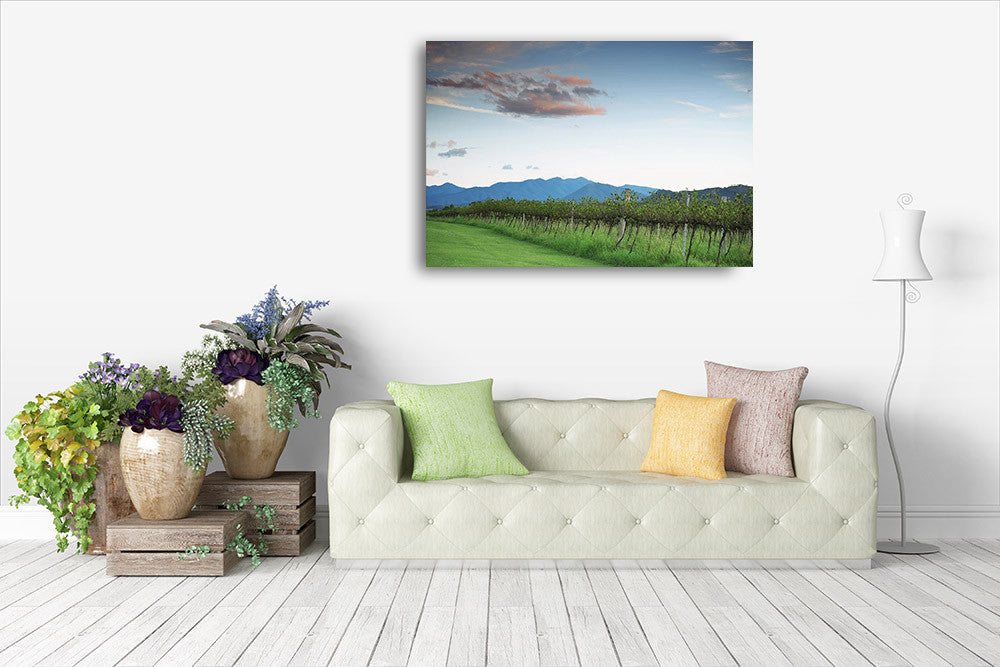 Lavender Farm Queensland Wall Art Print on the wall