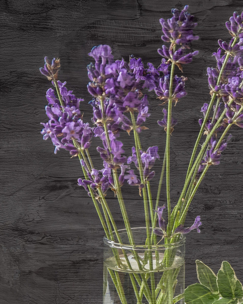 Lavender Jar II Wall Art Print
