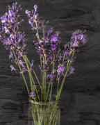 Lavender Jar I Wall Art Print