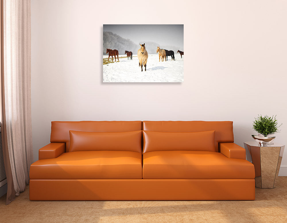 Leader of the Pack Wall Art Print on the wall
