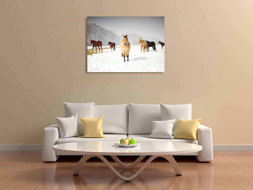 Leader of the Pack Wall Art Print on the wall